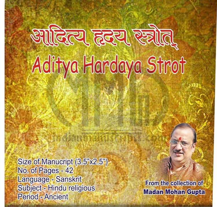 Aditya Hardaya Strot