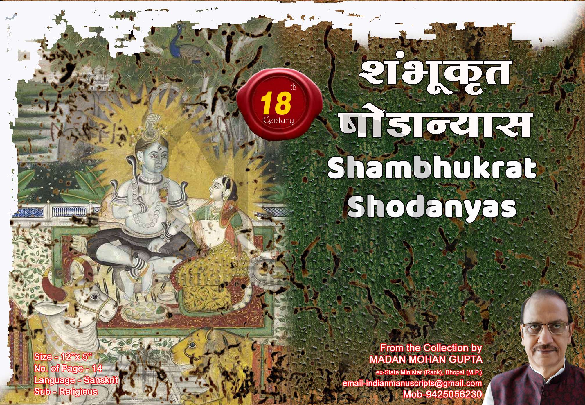 shambhukrit_shodanyas