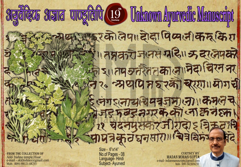Unknown Ayurvedic Manuscript