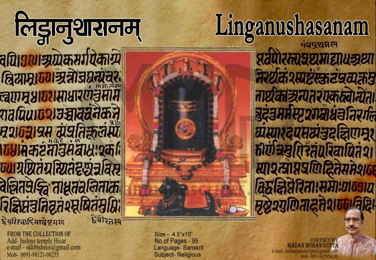 Linganushasanam